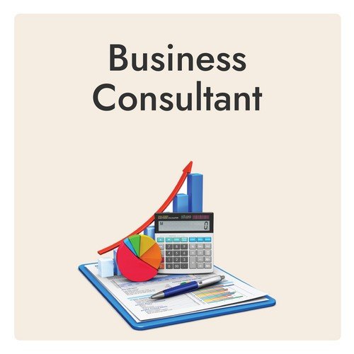 Business Consultant Providing Growth Strategy, Planning, And Professional Advisory Services